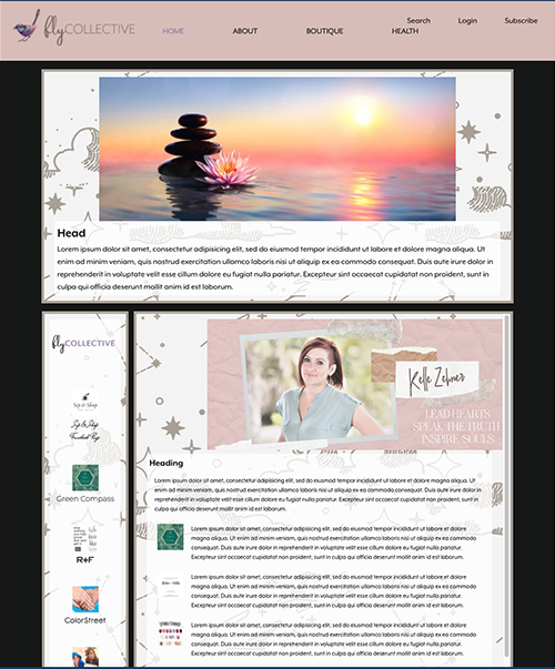 image of flyCOLLECTIVE home page